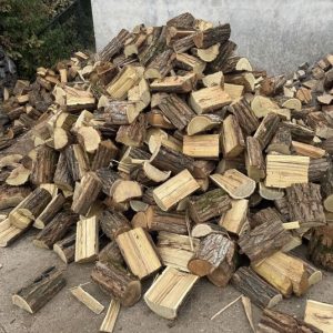 Bagrem ispiljeni
