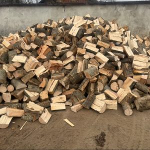 Bukva grab ispiljena